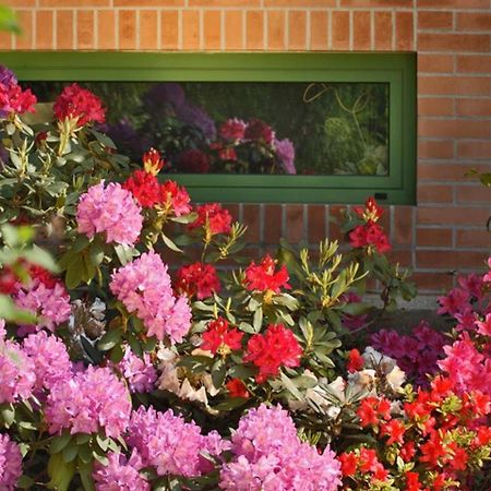Villa Delle Ortensie Tavagnacco Exterior foto