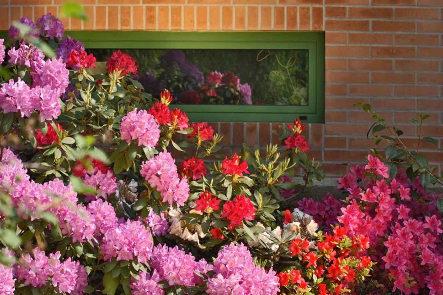 Villa Delle Ortensie Tavagnacco Exterior foto